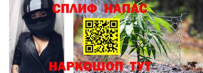 стафф Дубна